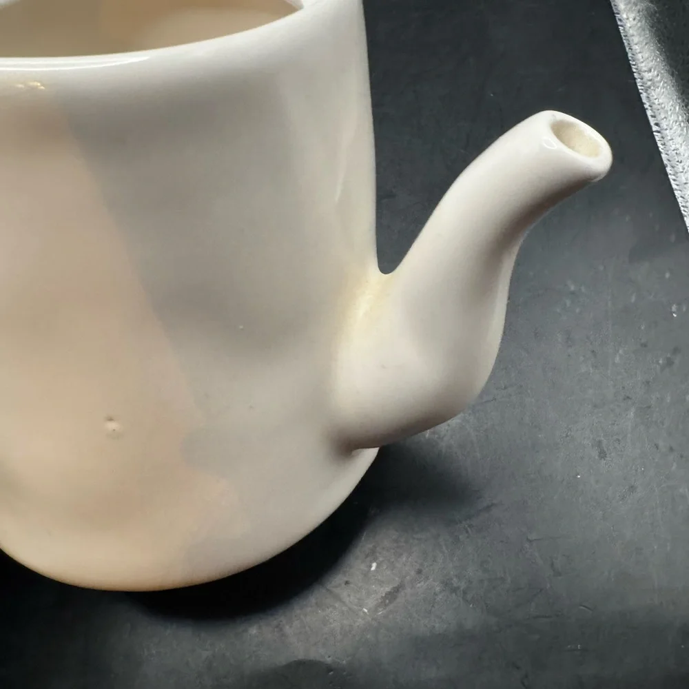 Rae Dunn “ Tea ” Tea Pot Glossy White Ceramic Minimalistic Artisan Collection